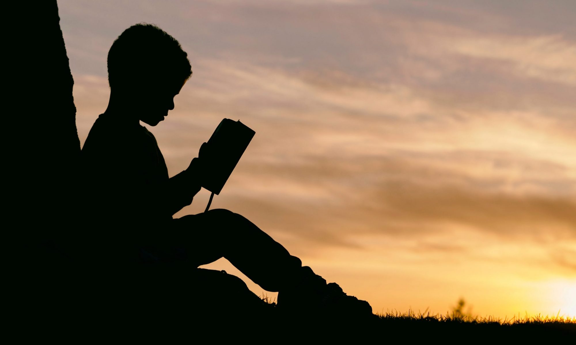 Şcoala Gimnazială Chiuieşti